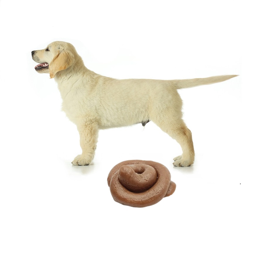 Fake Poop Gag Gift - Funny Prank Poop Squishy Toy -