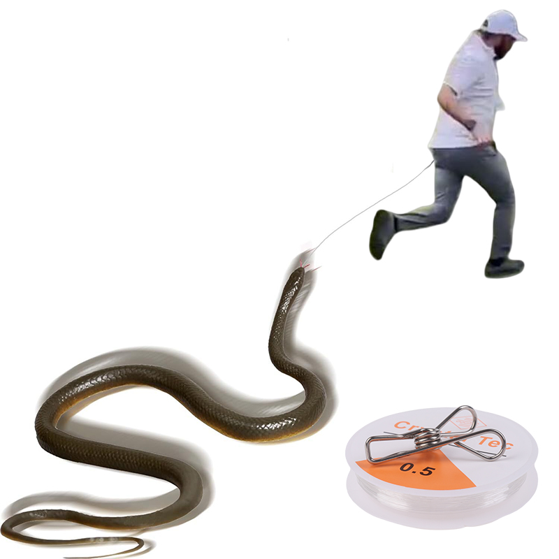 Outdoor Snake Prank with Strin - огляд і ціна Prank Toys